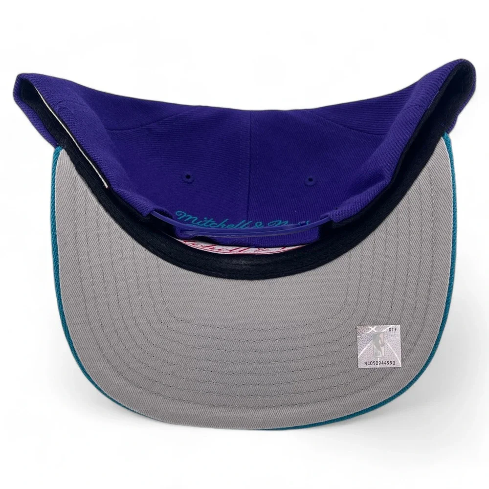 Mitchell & Ness Charlotte Hornets NBA Core Basic Classic Logo Snapback Hat Cap